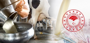 2022 Yılı Ekim Kasım Aralık Dönemi Çiğ Süt Desteklemesi